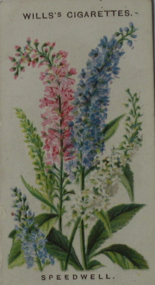 Wills's Cigarette cards set 1-50 - Old English Garden Flowers, Wills's second series set 1-50 - Old English Garden Flowers, Wills's set 1-50 Garden Flowers, Gallaher Ltd set 1-48 - Wild Flowers and Gallaher Ltd set 1-48 - Garden Flowers