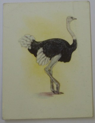 United Tobacco Co. Cigarette cards set 1-150 - Our South African Birds