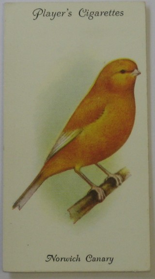 Player's Cigarette cards set 1-50 - Aviary and Cage Birds, ditto set 1-50 - Game Birds and Wild Fowl and ditto set 1-50 - Wild Birds