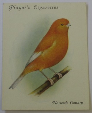 Player's Cigarette cards (large size) set 1-25 Aviary & Cage Birds