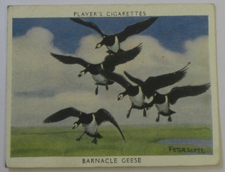 Player's Cigarette cards (large size) set 1-25 - Wildfowl