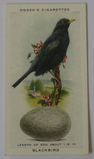Ogden's Cigarette cards set 1-50 - British Birds & Their Eggs