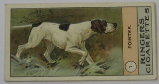 Edwards, Ringer & Biggs Cigarette cards set 1-50 - Dogs and Gallaher's (large size) set 1-24 - Dogs