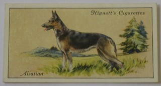 Hignett Bros & Co Cigarette cards set 1-50 - Dogs
