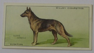 Wills's Cigarette cards set 1-50 - Dogs, Moustafa Ltd set 1-40 - Leo Chambers Dogs Heads, Carreras set 1-50 - Dogs & Friends, Gallaher set 1-48 - Dogs and ditto second series 46 out of a set of 48 - Dogs