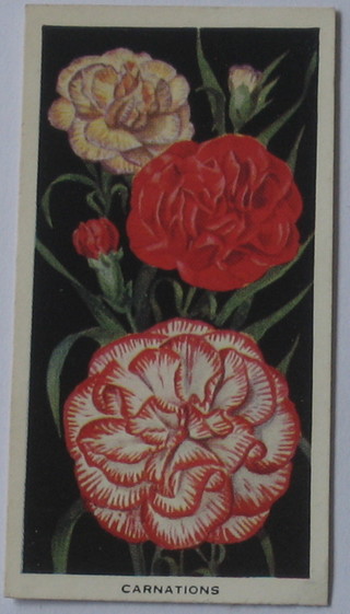 Carreras Ltd Cigarette cards set 1-50 - Flowers, United Tobacco Company set of 1-25 - Flowers of South Africa, Carreras Ltd 24 out of a set of 25 - Wild Flower Art Series, Godfrey Phillips Ltd set of 1-50 - Annuals and Brook Bond & Co Ltd set 1-50 - Wild Flowers