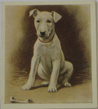 Godfrey Phillips Ltd Cigarette cards set 1-30 - Our Puppies, Gallaher's set 1-24 - Dogs, Godfrey Phillips set 1-36 - Our Dogs, J Millhoff & Co Ltd set 1-27 - Real Photographs, Senior Service set 1-48 - Dogs, Ardath Cork and State Express 333 set 1-25 (large cards) - Champion Dogs, Godfrey Phillips set 1-30 - Our Puppies and Players set 1-25 (large cards) - Dogs, Brooke Bond & Co Ltd tea cards set 1-20 - British Birds and Ogdens 38 out of a set of 50 - British Birds, The Royal Society for the Prevention of Accidents cards set 1-24 - Veteran Cars, ditto second series set 1-24 - Veteran Cars and ditto set 1-24 - Modern British Cars