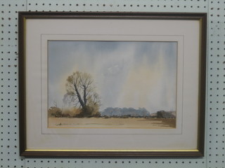 Roy Wilson, watercolour drawing "Downland Scene with Trees" 9 1/2" x 14"