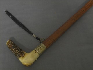 A walking cane with stag horn handle