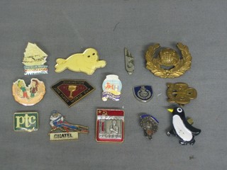A small collection of various badges