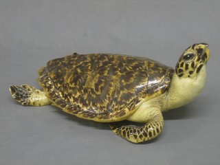 A stuffed and mounted turtle 15"