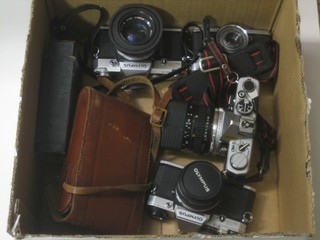 An Olympus OM-2N, an Olympus OM10, an Olympus OM30, an Olympus Trip 35, together with 2 folding cameras