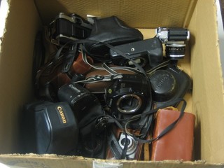 A Canon T70, a Canon AV-1, a Canon FX, a Canon EOS 650 and 9 other cameras