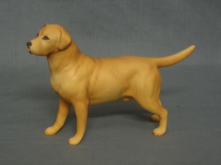 A Beswick matt figure of the standing yellow Labrador - Wendover 5"