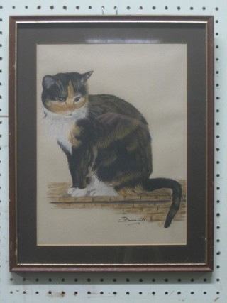Bennett?, watercolour "Seated Tabby Cat" 11 1/2" x 9" signed