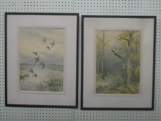 After Roland Green, a pair of coloured prints "Pheasants and Ducks in Flight" 15" x 11"
