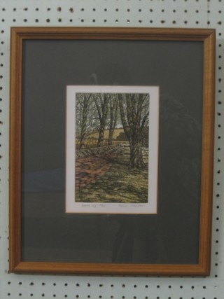 Graham Evenden limited edition coloured etching "Dappled Way" 7" x 4 1/2"