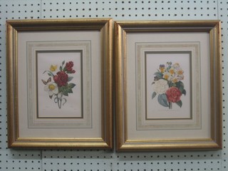 6 limited edition Natural History Museum coloured prints, contained in gilt frames 7" x 5"