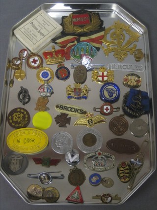 A collection of various badges including Primrose League, National Blood Transfusion Service, etc, etc,
