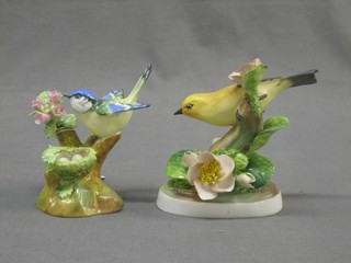 A Royal Crown Staffordshire figure of a Warbler, modelled by Linley Adams, (base cracked) together with a Crown Staffordshire figure of a Tom Tit modelled by J T Jones