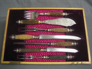A handsome 19th Century 7 piece carving set comprising poultry carving knife and fork, steel, meat knife and fork, pair of silver plated fish servers, all with stag horn handles by McPherson Bros. contained in a walnut box