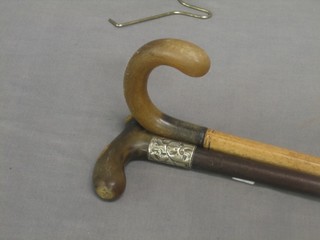 2 walking sticks with horn handles