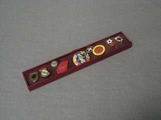 9 various enamelled badges