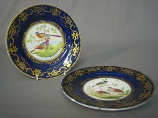 A pair of 19th Century porcelain plates decorated birds 8"