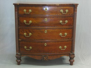 A William IV mahogany bow front chest with crossbanded top, fitted 4 long drawers with brass swan neck drop handles, raised on bun feet 39"