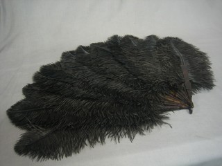 An ostrich feather fan