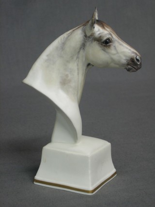 A Royal Worcester head and shoulders portrait of the race horse Astrope 5"