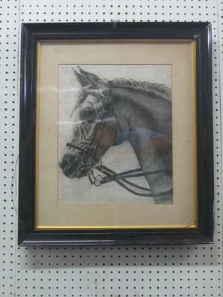 A pencil drawing, head and shoulders portrait of a "Horse" 13" x 11"