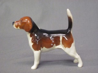 A Beswick figure of a standing Beagle - Wendover Billy 3"