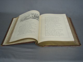 1 volume "La Fontaine, The Fables Of" illustrated by Gustave Dore, leather bound