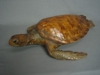 A 19th Century stuffed and mounted turtle 22"