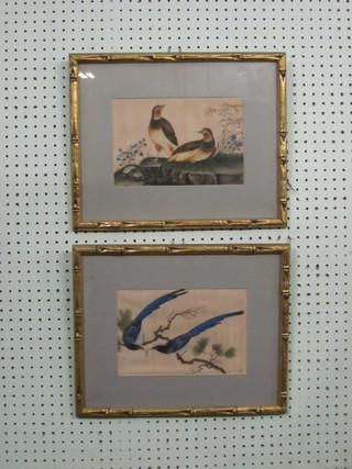 A pair of Eastern paintings on silk "Birds" 7" x 10" contained in gilt bamboo finished frames