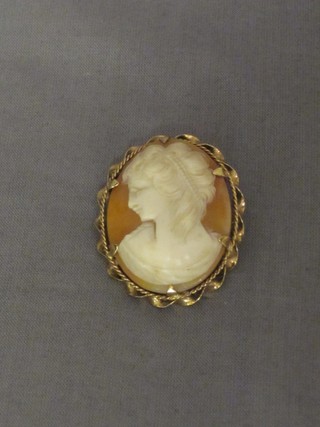 A shell carved cameo portrait brooch contained in a 9ct gold mount