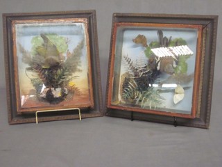 2 19th Century stuffed and mounted birds contained in glazed cases