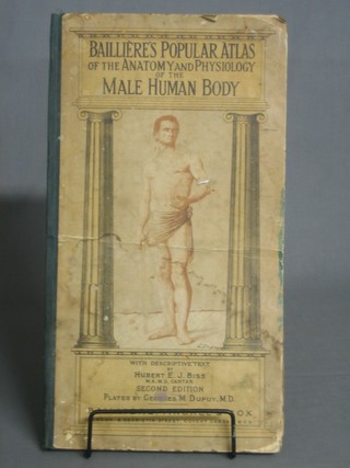 Baillere's "Popular Atlas of The Anatomy and Physiology of The Male Human Body 1945"