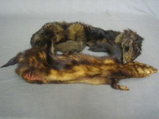 A silver fox fur together with a mink stole