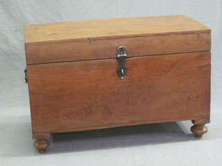 A camphor trunk with hinged lid and brass swan neck handles, raised on bun feet 31"