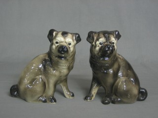 A pair of 19th Century black glazed figures of seated Pugs 7" (1 chipped to base)