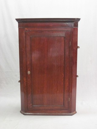 A Georgian oak hanging corner cabinet with moulded and dentil cornice, the interior fitted shelves enclosed by a panelled door 31"