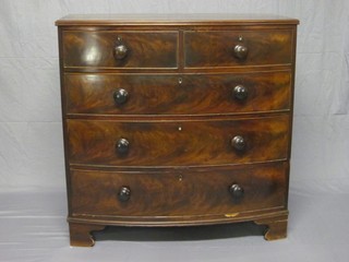 A 19th Century mahogany bow front chest of 2 short and 3 long drawers, raised on bracket feet 42" ILLUSTRATED