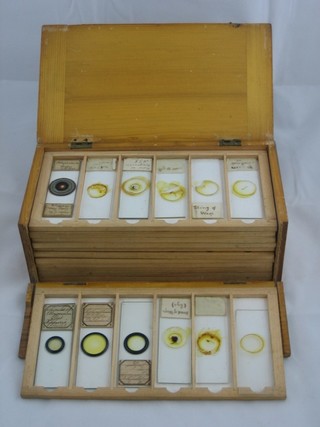 35 19th Century microscope slides contained in a wooden box