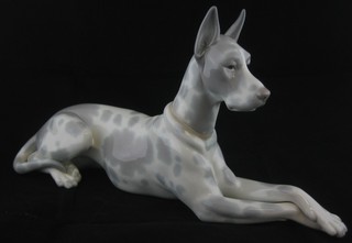 A Lladro figure of a "Great Dane" the base impressed M SN, 12"