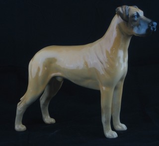 A  Beswick figure of a standing Great Dane Ruler of Ouborough 6 1/2"