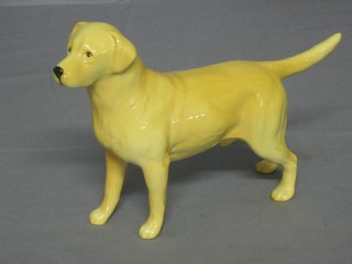 A Beswick figure of a Labrador - Wendover 6"
