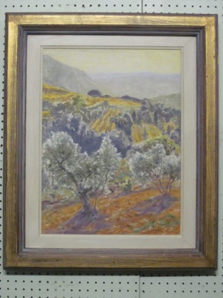 Patrick Cullen, oil on canvas "Olive Trees August The Sun" 17" x 13"