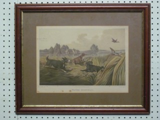 After Alken, coloured print "Water Spaniels" 8" x 11"